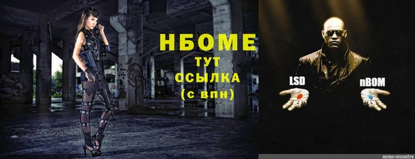 трава Гусиноозёрск