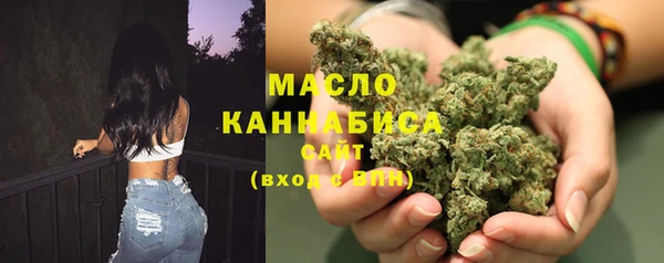трава Гусиноозёрск