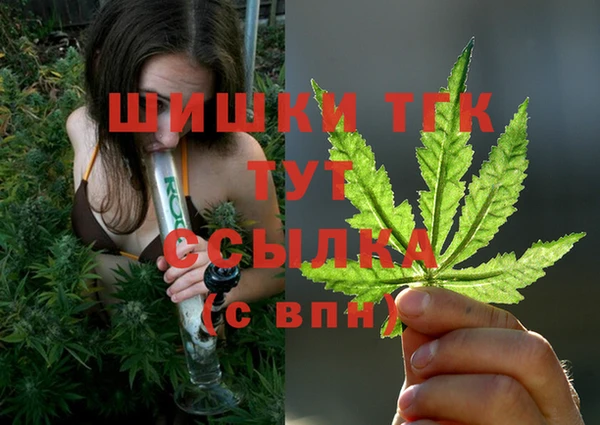 трава Гусиноозёрск