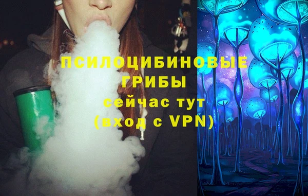 трава Гусиноозёрск