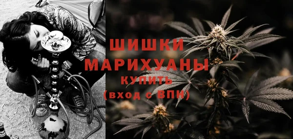 трава Гусиноозёрск