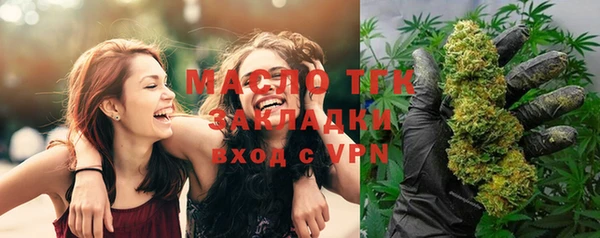 трава Гусиноозёрск