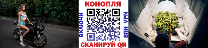 Купить где  Балахна  Канабис THC 21% 